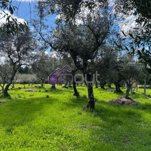 Terreno Rústico  Venda em Póvoa de Rio de Moinhos e Cafede,Castelo Branco