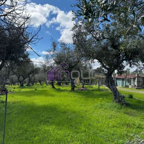 Terreno Rústico  Venda em Póvoa de Rio de Moinhos e Cafede,Castelo Branco