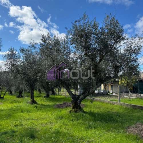 Terreno Rústico  Venda em Póvoa de Rio de Moinhos e Cafede,Castelo Branco