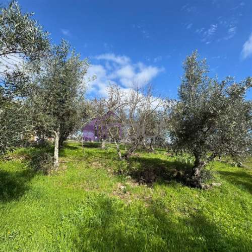Terreno Rústico  Venda em Póvoa de Rio de Moinhos e Cafede,Castelo Branco