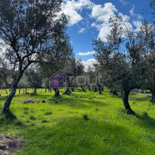Terreno Rústico  Venda em Póvoa de Rio de Moinhos e Cafede,Castelo Branco