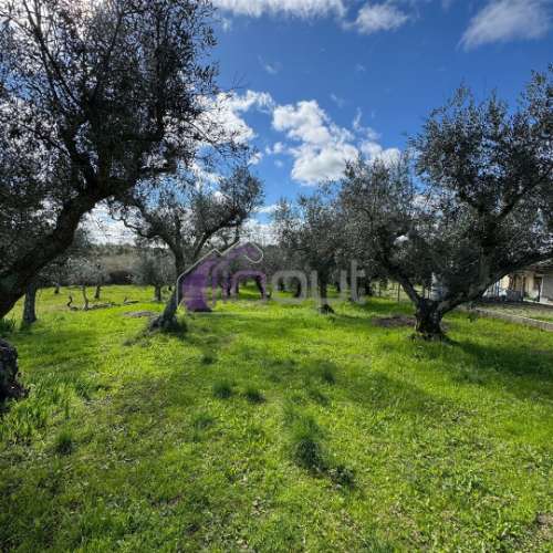 Terreno Rústico  Venda em Póvoa de Rio de Moinhos e Cafede,Castelo Branco