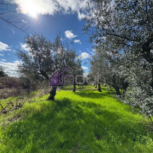 Terreno Rústico  Venda em Póvoa de Rio de Moinhos e Cafede,Castelo Branco