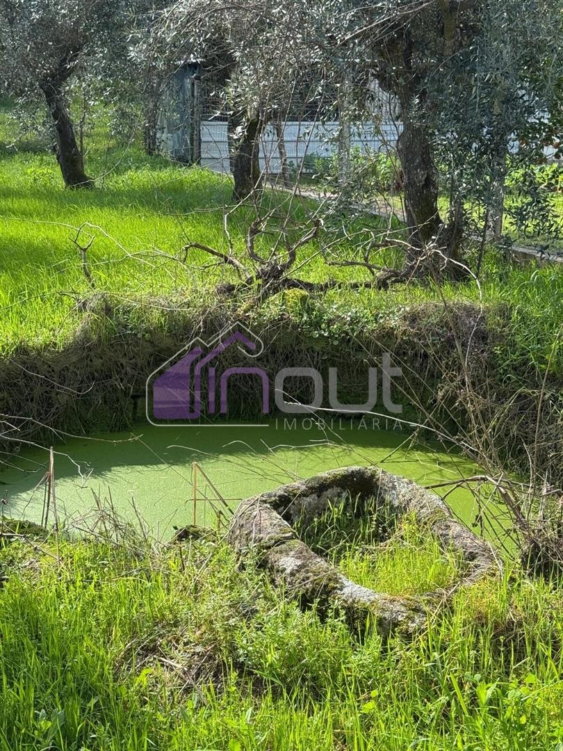 Terreno Rústico  Venda em Póvoa de Rio de Moinhos e Cafede,Castelo Branco