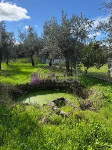 Terreno Rústico  Venda em Póvoa de Rio de Moinhos e Cafede,Castelo Branco