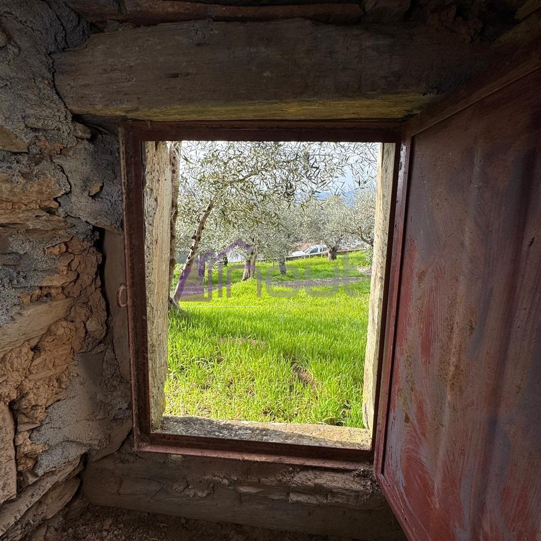 Ruína com Potencial para Reconstrução em Sarzedas – 24 m²