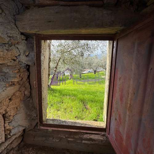 Ruína com Potencial para Reconstrução em Sarzedas – 24 m²