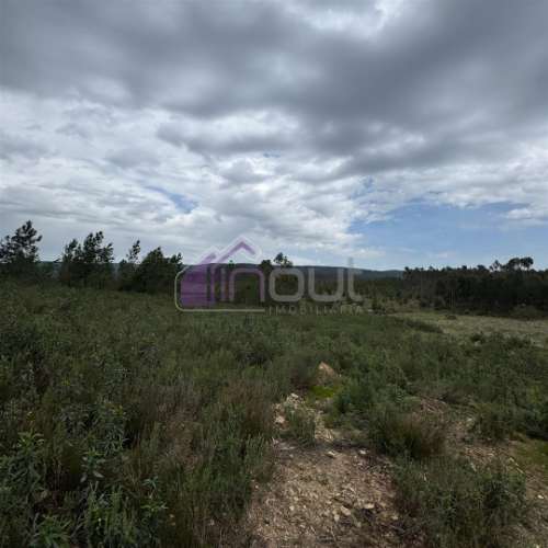 Terreno Rústico com 828m² em Marmelal – Natureza e Tranquilidade