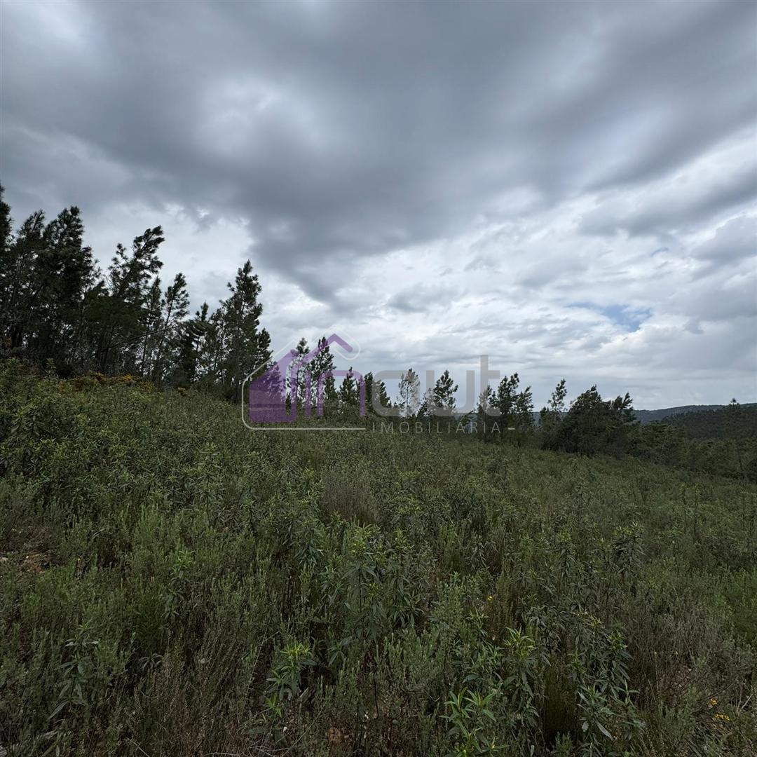 Terreno Rústico com 828m² em Marmelal – Natureza e Tranquilidade