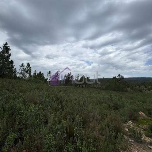 Terreno Rústico com 828m² em Marmelal – Natureza e Tranquilidade