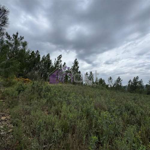 Terreno Rústico com 828m² em Marmelal – Natureza e Tranquilidade
