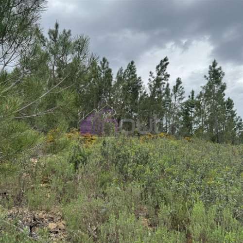 Terreno Rústico com 828m² em Marmelal – Natureza e Tranquilidade