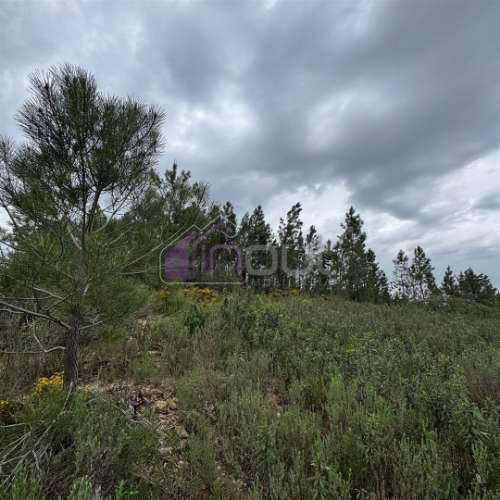 Terreno Rústico com 828m² em Marmelal – Natureza e Tranquilidade