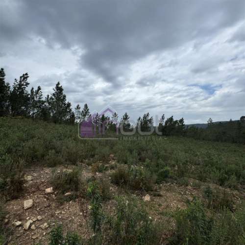 Terreno Rústico com 828m² em Marmelal – Natureza e Tranquilidade