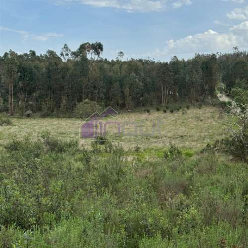 Terreno Rústico com 828m² em Marmelal – Natureza e Tranquilidade