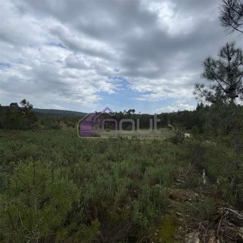 Terreno Rústico com 828m² em Marmelal – Natureza e Tranquilidade