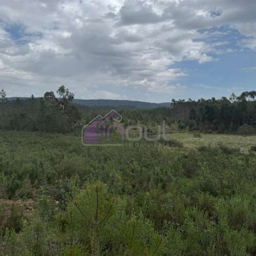 Terreno Rústico com 828m² em Marmelal – Natureza e Tranquilidade