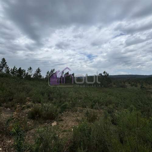 Terreno Rústico com 828m² em Marmelal – Natureza e Tranquilidade