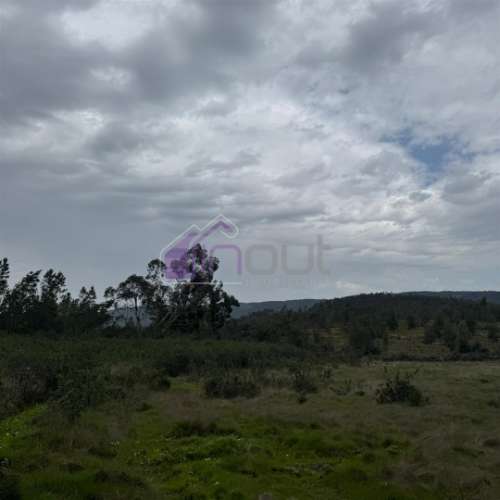 Terreno Rústico com 828m² em Marmelal – Natureza e Tranquilidade