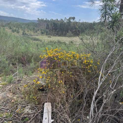 Terreno Rústico com 828m² em Marmelal – Natureza e Tranquilidade