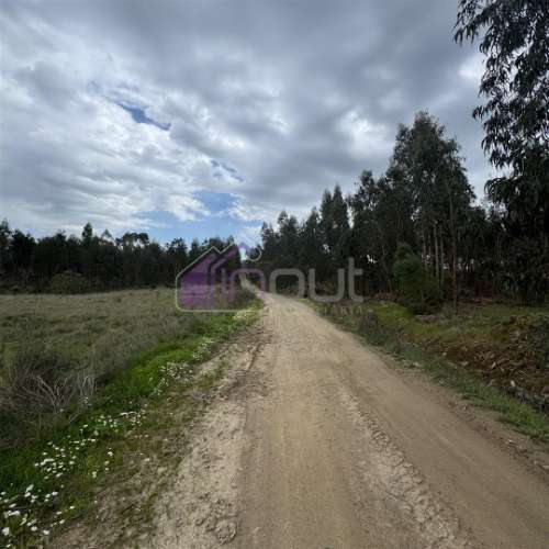 Terreno Rústico com 828m² em Marmelal – Natureza e Tranquilidade