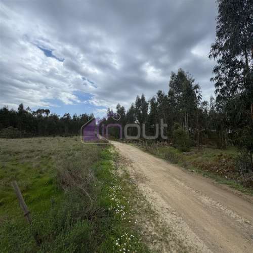 Terreno Rústico com 828m² em Marmelal – Natureza e Tranquilidade