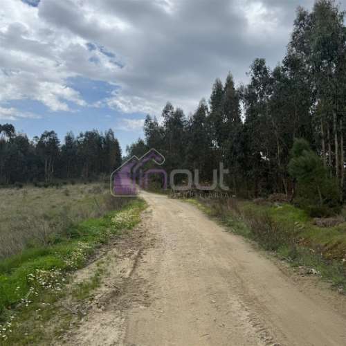 Terreno Rústico com 828m² em Marmelal – Natureza e Tranquilidade