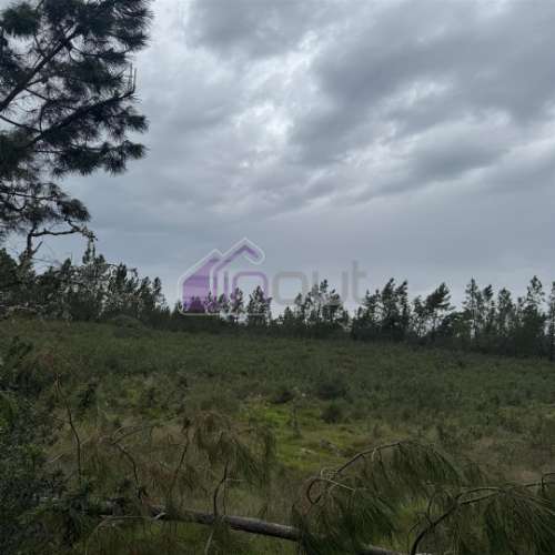 Terreno Rústico com 828m² em Marmelal – Natureza e Tranquilidade