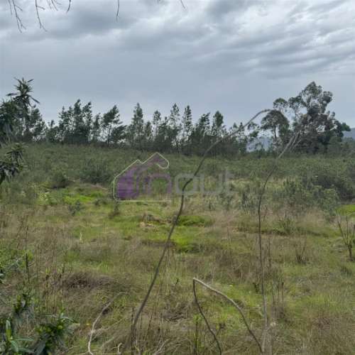 Terreno Rústico com 828m² em Marmelal – Natureza e Tranquilidade