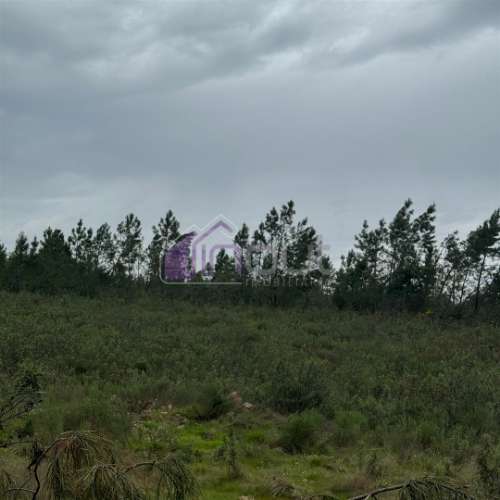 Terreno Rústico com 828m² em Marmelal – Natureza e Tranquilidade