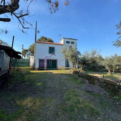 Propriedade Rural de Excelência às Portas de Castelo Branco – 9 Hectares de Oportunidade