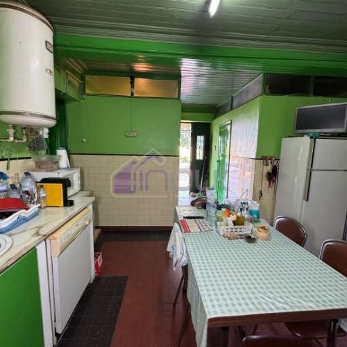 Propriedade Rural de Excelência às Portas de Castelo Branco – 9 Hectares de Oportunidade