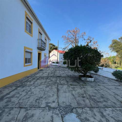 Propriedade Rural de Excelência às Portas de Castelo Branco – 9 Hectares de Oportunidade