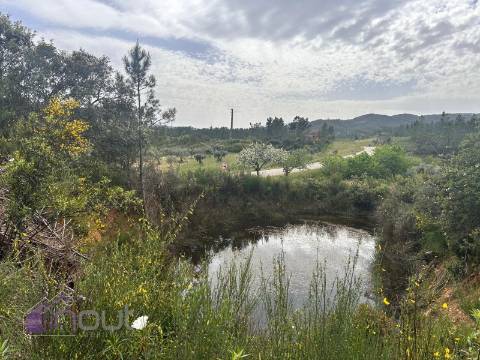 Terreno  Venda em Sarzedas,Castelo Branco