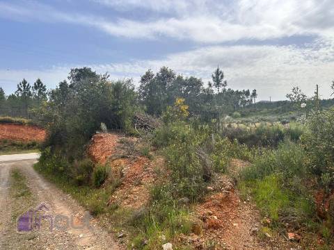 Terreno  Venda em Sarzedas,Castelo Branco