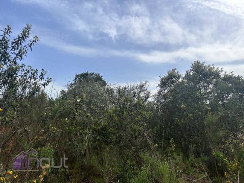 Terreno  Venda em Sarzedas,Castelo Branco