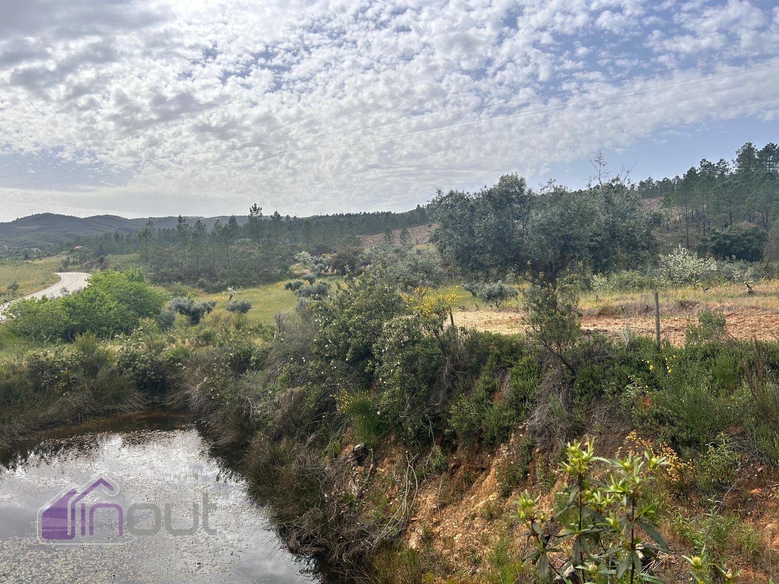 Terreno  Venda em Sarzedas,Castelo Branco