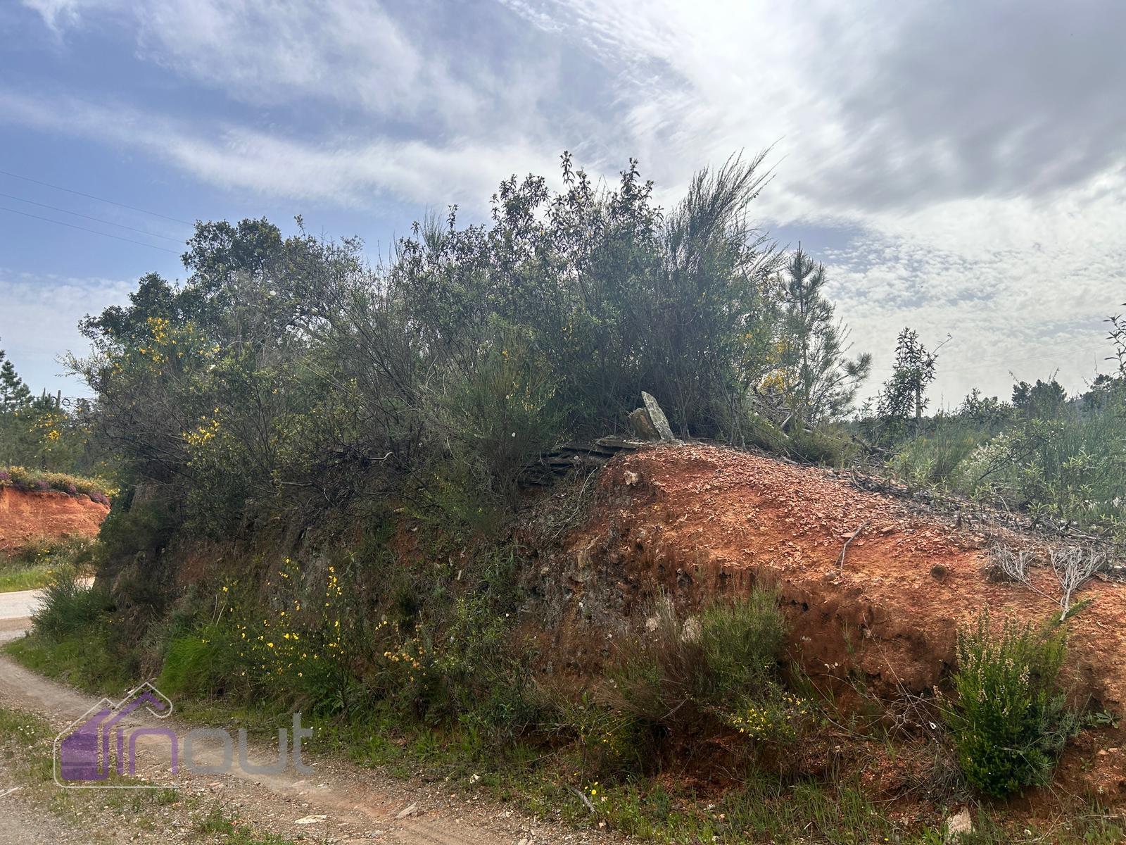 Terreno  Venda em Sarzedas,Castelo Branco