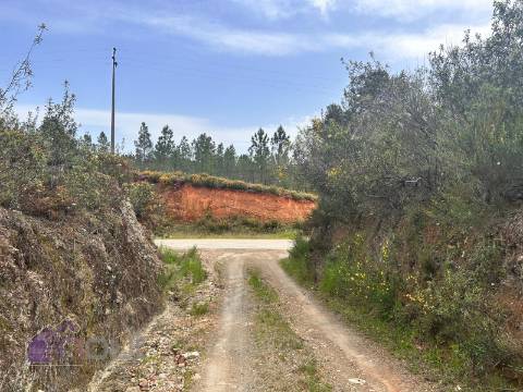 Terreno  Venda em Sarzedas,Castelo Branco