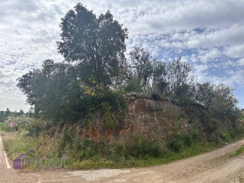 Terreno  Venda em Sarzedas,Castelo Branco