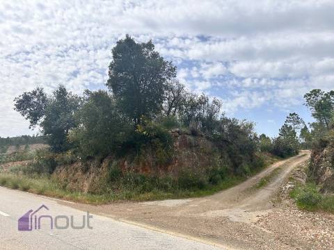 Terreno  Venda em Sarzedas,Castelo Branco
