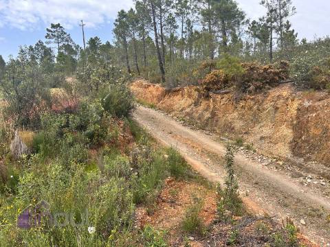 Terreno  Venda em Sarzedas,Castelo Branco