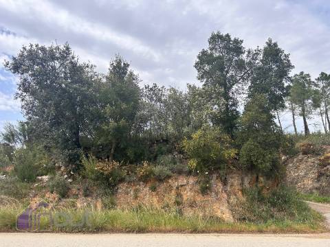 Terreno  Venda em Sarzedas,Castelo Branco
