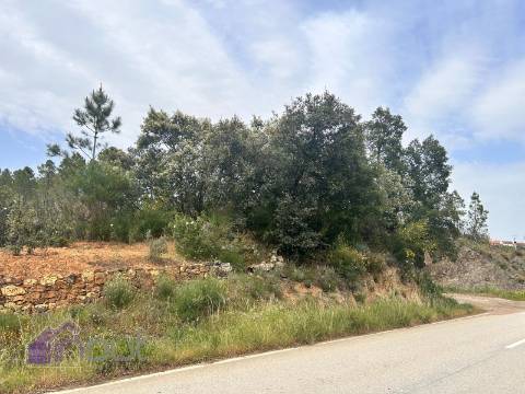 Terreno  Venda em Sarzedas,Castelo Branco