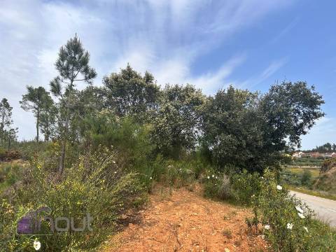 Terreno  Venda em Sarzedas,Castelo Branco