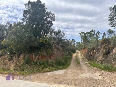 Terreno  Venda em Sarzedas,Castelo Branco