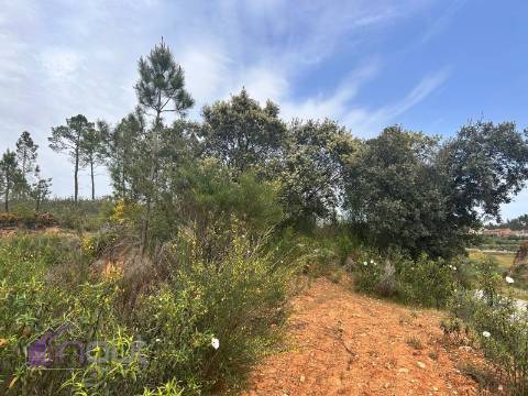 Terreno  Venda em Sarzedas,Castelo Branco