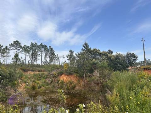 Terreno  Venda em Sarzedas,Castelo Branco