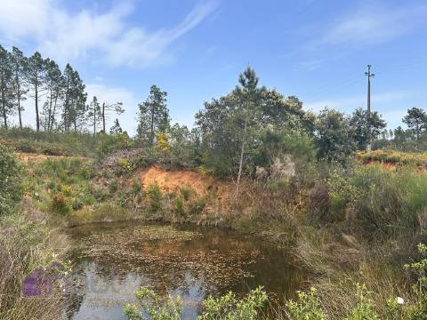 Terreno  Venda em Sarzedas,Castelo Branco