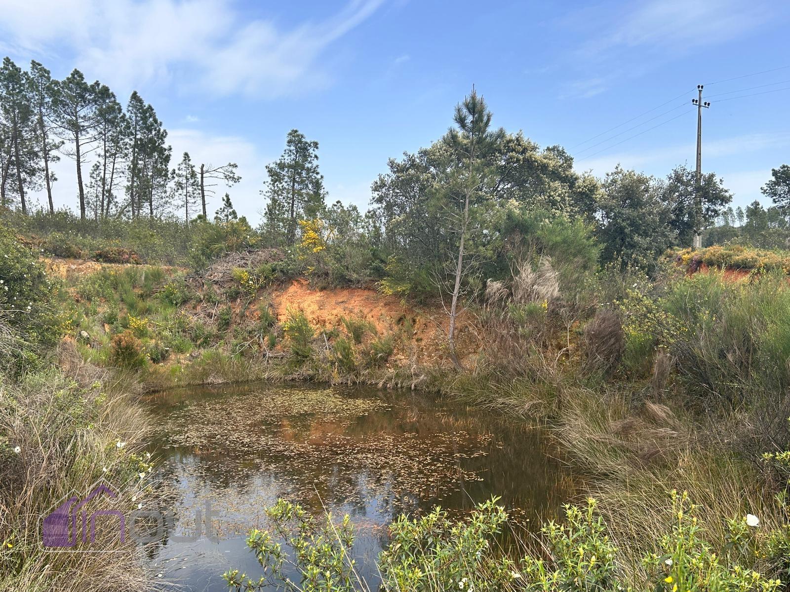 Terreno  Venda em Sarzedas,Castelo Branco